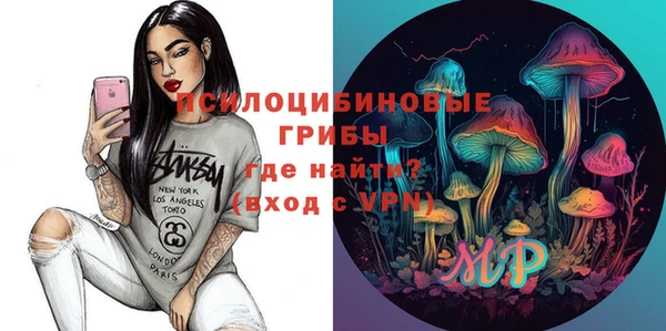 spice Надым