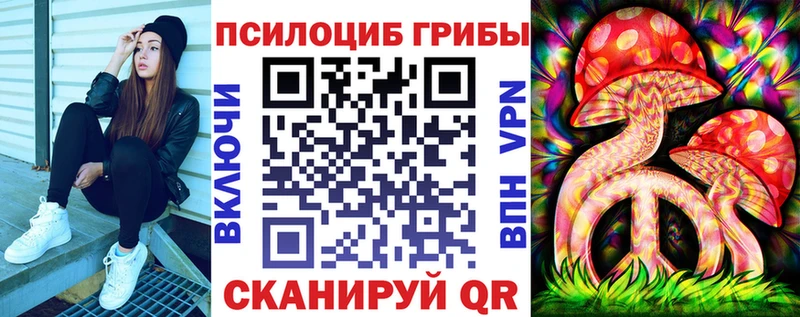 Купить закладки  Ельня  Псилоцибиновые грибы Psilocybe 